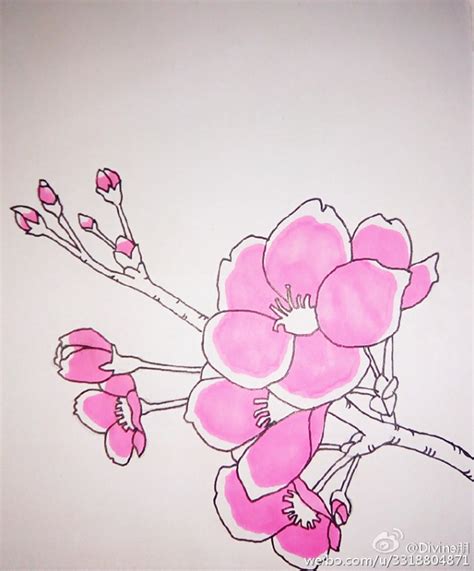 桃花画法|桃花朵朵开，5笔学会桃花的画法